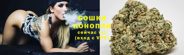 прущие грибы Карталы