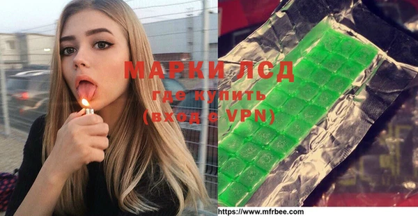 прущие грибы Карталы