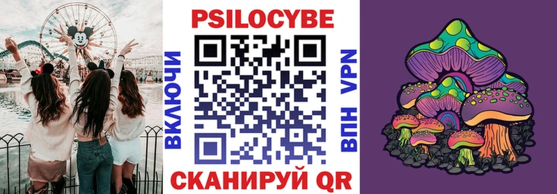 Псилоцибиновые грибы MAGIC MUSHROOMS  Купить закладки  Тырныауз 